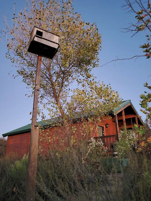 Oakoasis County Preserve Campsite Picture 9