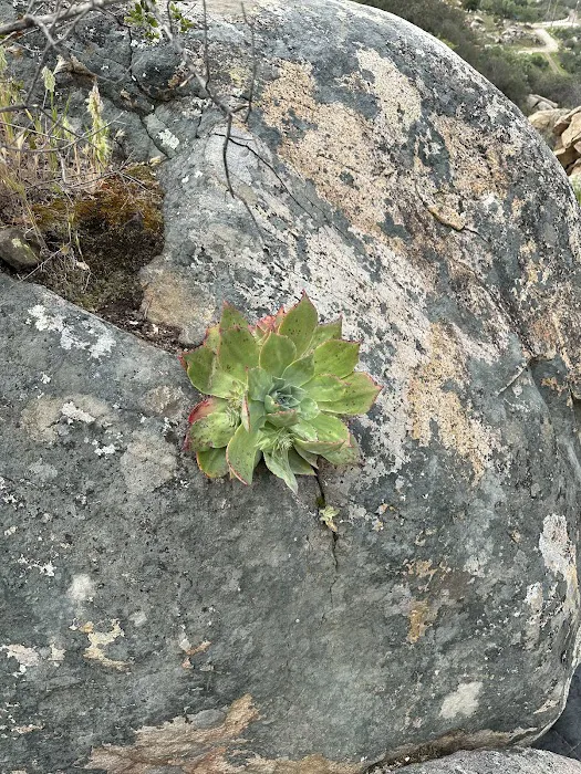 Oakoasis County Preserve Campsite Picture 10