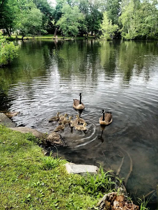 Ridgeview Mobile Home Park Picture 5