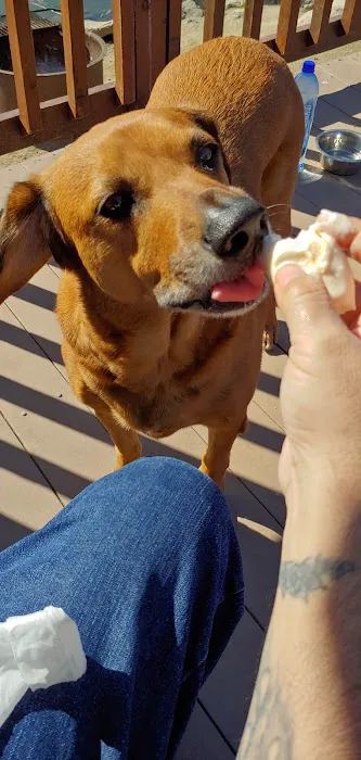 Mulberry Loop Campground Picture 1