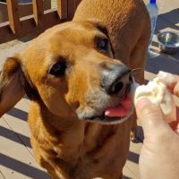 Mulberry Loop Campground ico