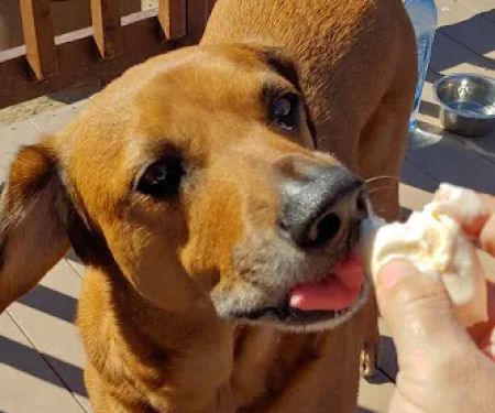 Mulberry Loop Campground