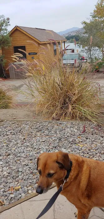 Mulberry Loop Campground Picture 10