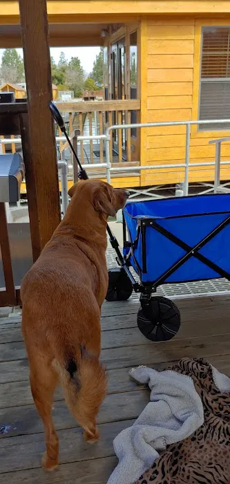 Mulberry Loop Campground Picture 8