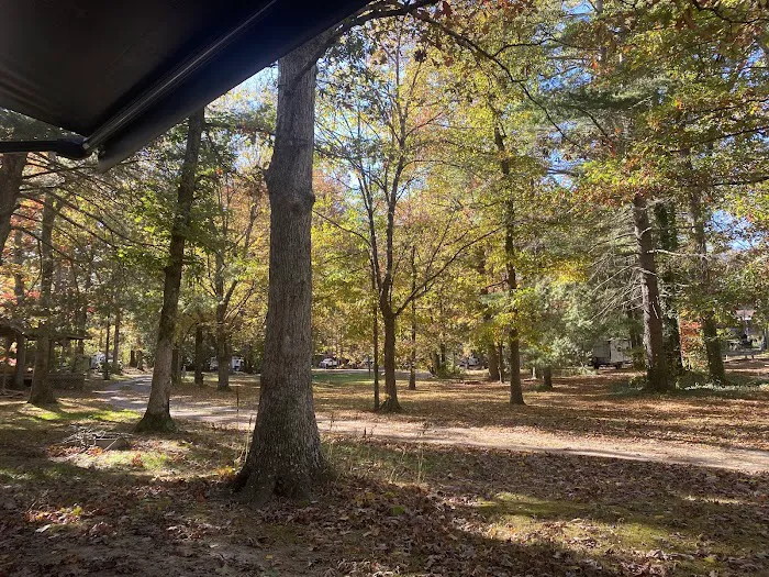 Blue Ridge Travel Park Picture 2