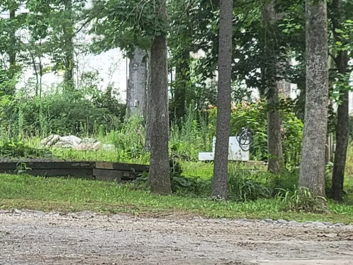 Blue Ridge Travel Park Picture 3