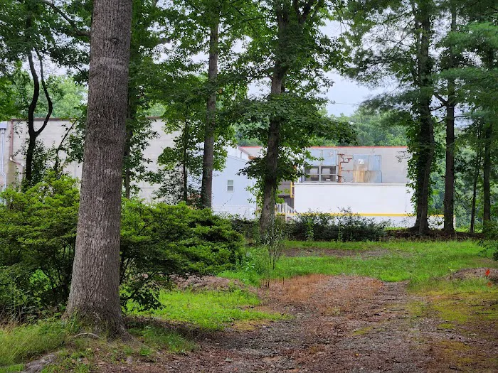 Blue Ridge Travel Park Picture 9