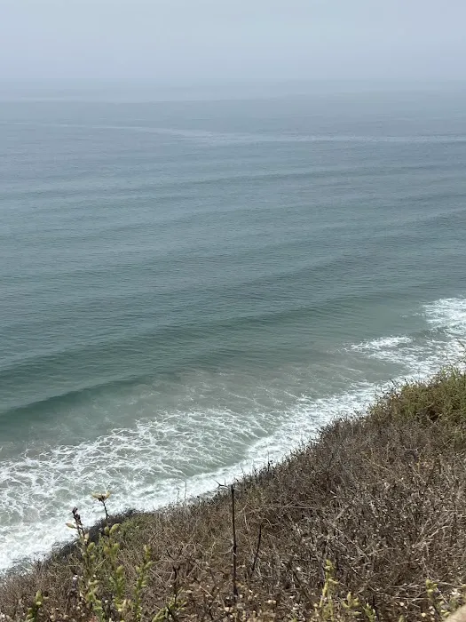 San Elijo State Beach Campground Picture 5