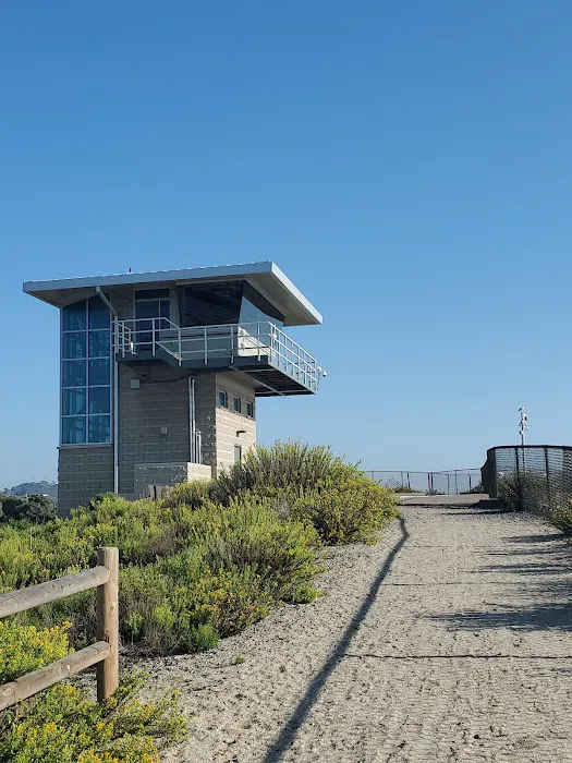 San Elijo State Beach Campground Picture 6