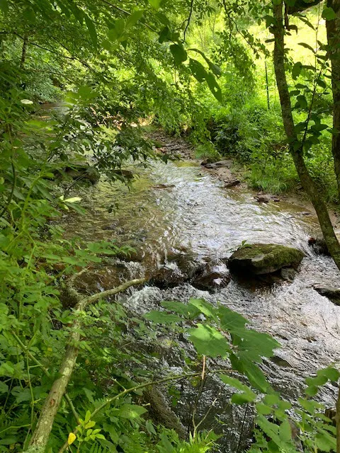 Mountain Retreat Picture 3