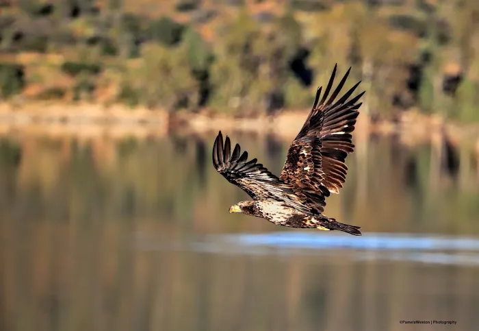 Lake Jennings Campground Picture 4