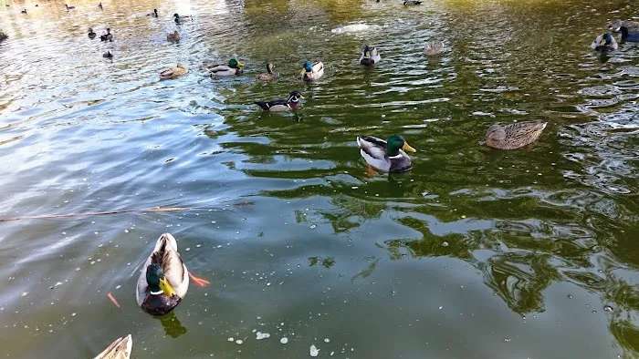 Santee Lakes Campground Picture 9