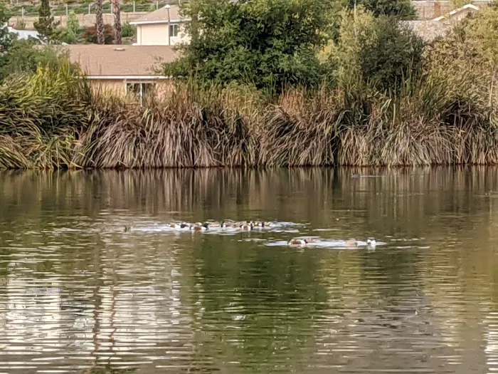 Santee Lakes Campground Picture 10