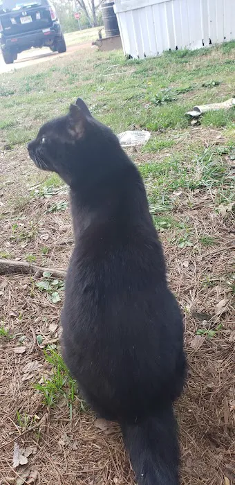 Anchor Mobile Home Park Picture 4