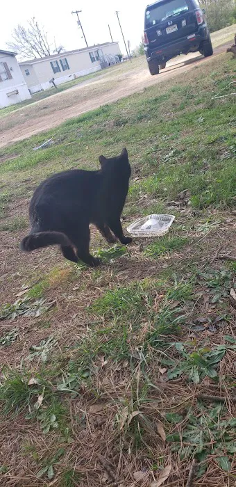 Anchor Mobile Home Park Picture 3