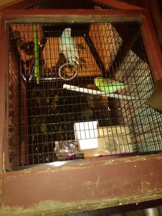 Anchor Mobile Home Park Picture 1