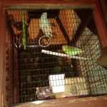 Anchor Mobile Home Park