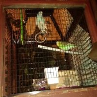 Anchor Mobile Home Park ico