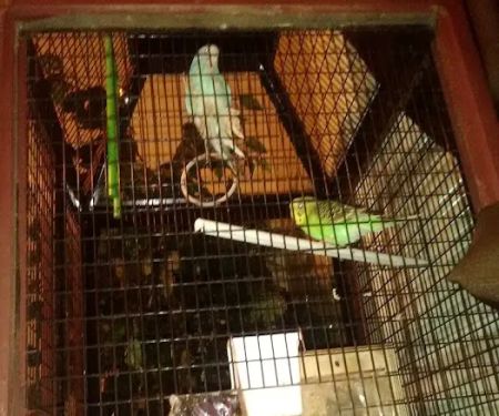 Anchor Mobile Home Park