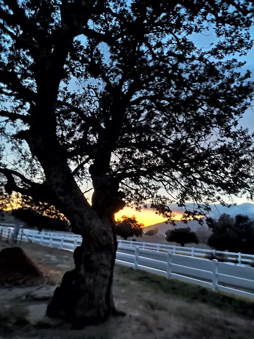 Ma Tar Awa Viejas Camper Park Picture 1