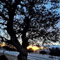 Ma Tar Awa Viejas Camper Park ico