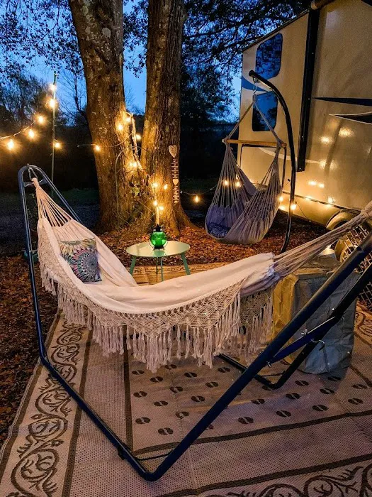 290 RV Park Picture 3