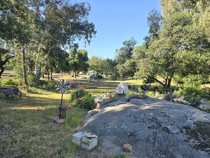 Skyline Ranch RV Park & Cmpgrn Picture 9