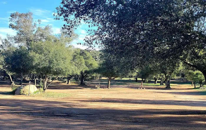 Skyline Ranch RV Park & Cmpgrn Picture 10