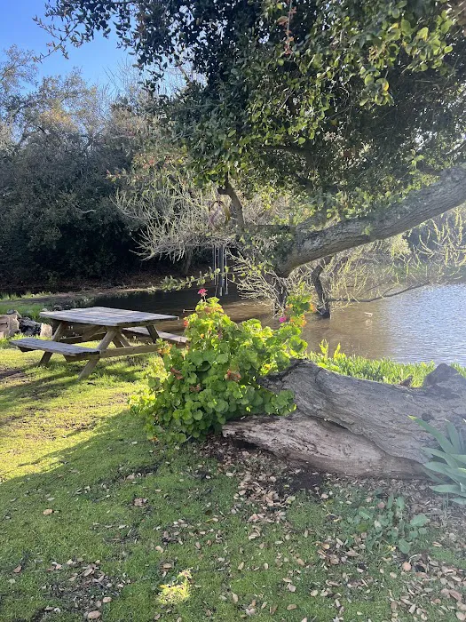 Skyline Ranch RV Park & Cmpgrn Picture 4