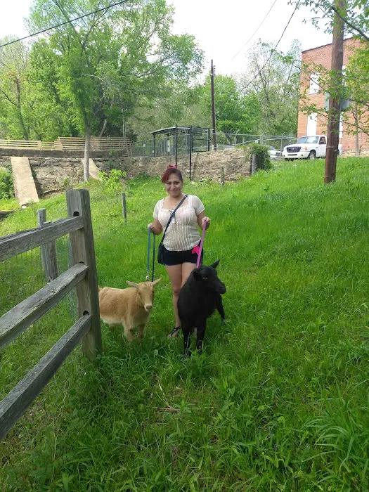 Tall Trees Mobile Home Park Inc Picture 1