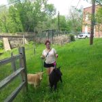 Tall Trees Mobile Home Park Inc