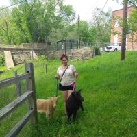 Tall Trees Mobile Home Park Inc ico