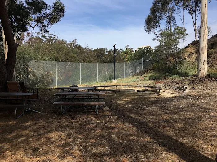 Girl Scouts Camp Level 3 Picture 3