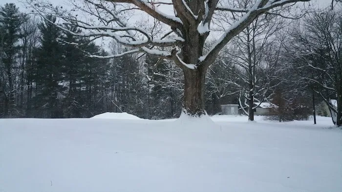 Lazy Boy Travel Trailer Park Picture 2