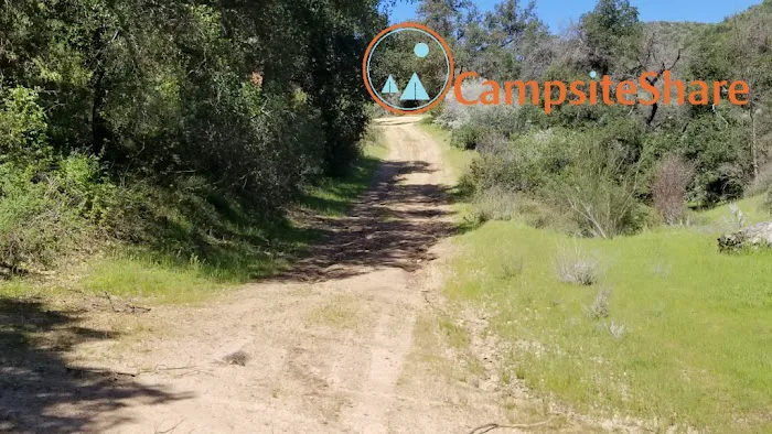 Queen Bee Campground Picture 1