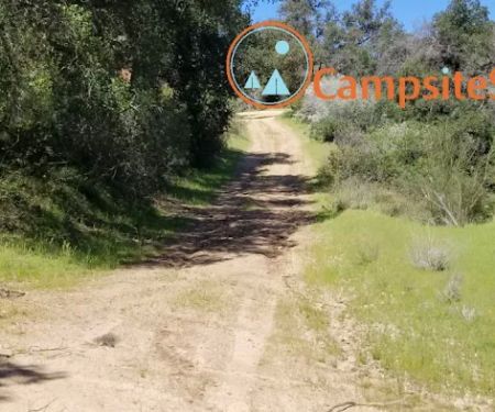 Queen Bee Campground