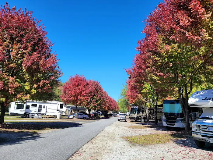 Lakewood RV Resort Picture 2