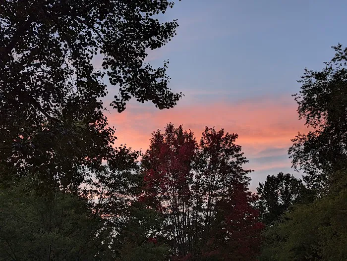 Lakewood RV Resort Picture 4