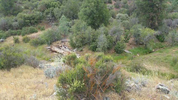 La Panza Campground Picture 2