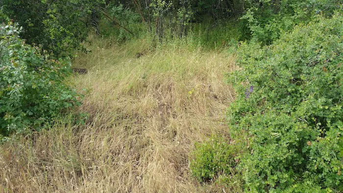 La Panza Campground Picture 3