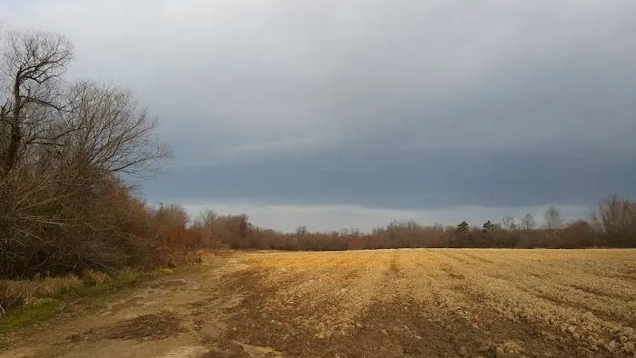 Park Place RV Park Picture 3