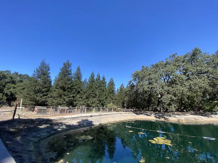 Fort Hope (Taco Camp) Picture 10