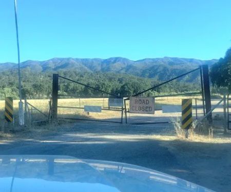 US Forestry Department