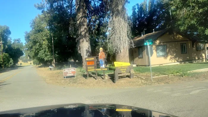 US Forestry Department Picture 3