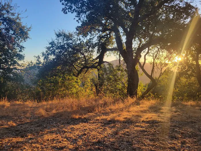 Hi Mountain Campground Picture 7