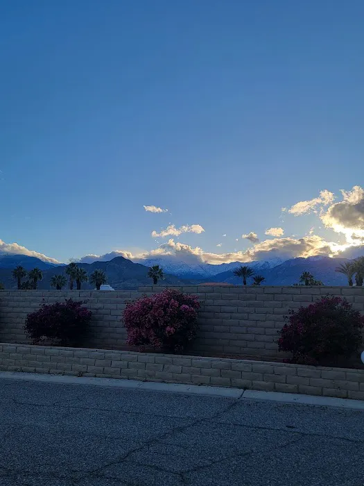 Encore Palm Springs Oasis Picture 10