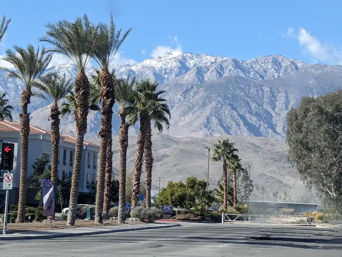 Encore Palm Springs Oasis Picture 3