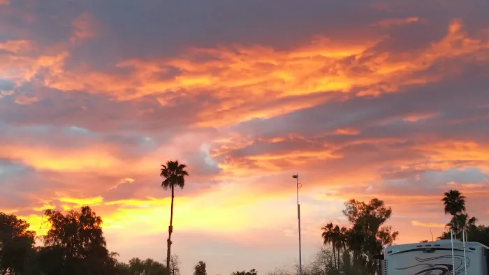 Encore Palm Springs Oasis Picture 9