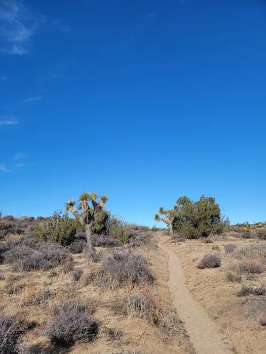 Juniper Flats Backcountry Picture 2