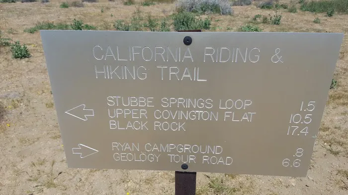 Juniper Flats Backcountry Picture 6